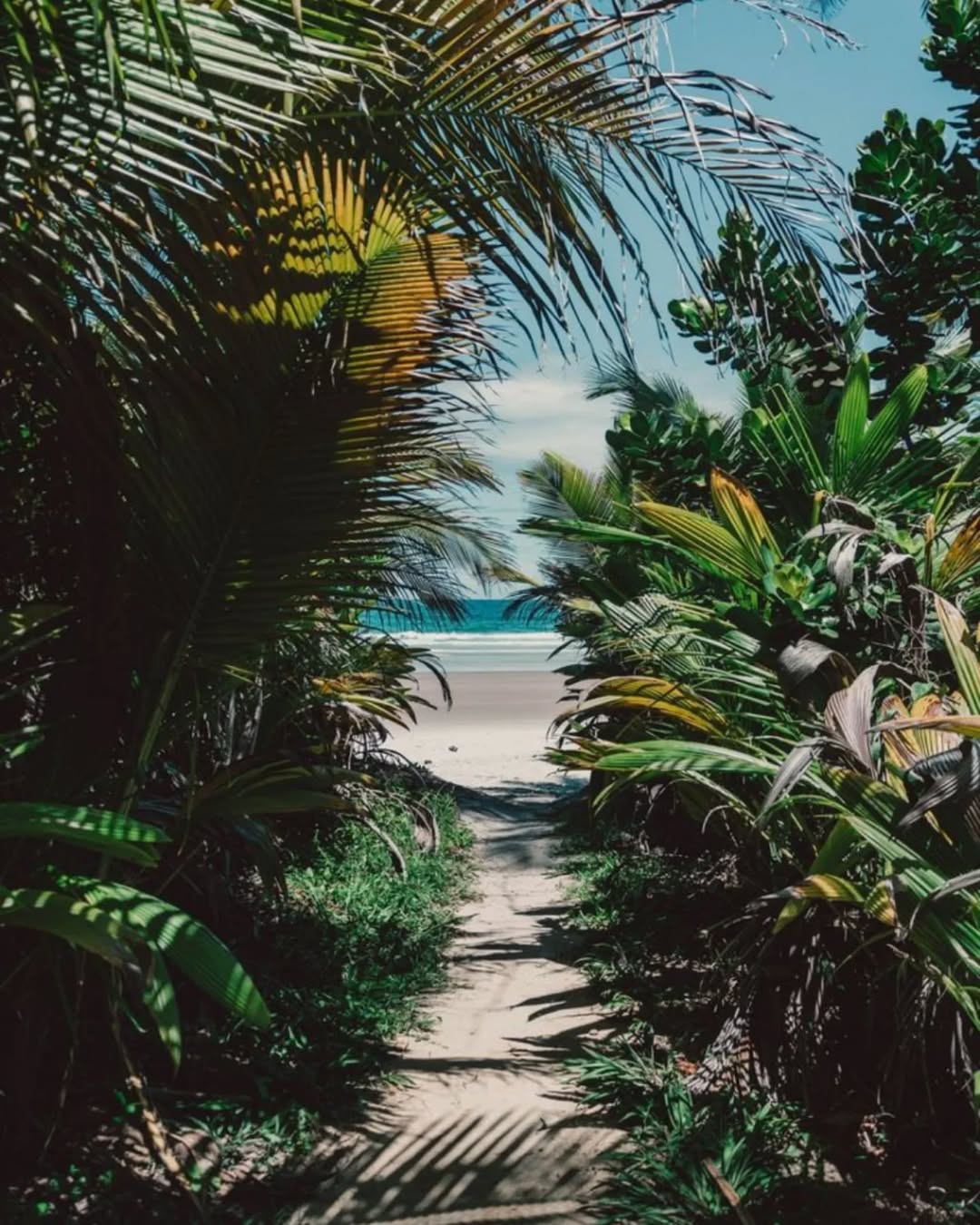 Jungle path at Casa Arkaana