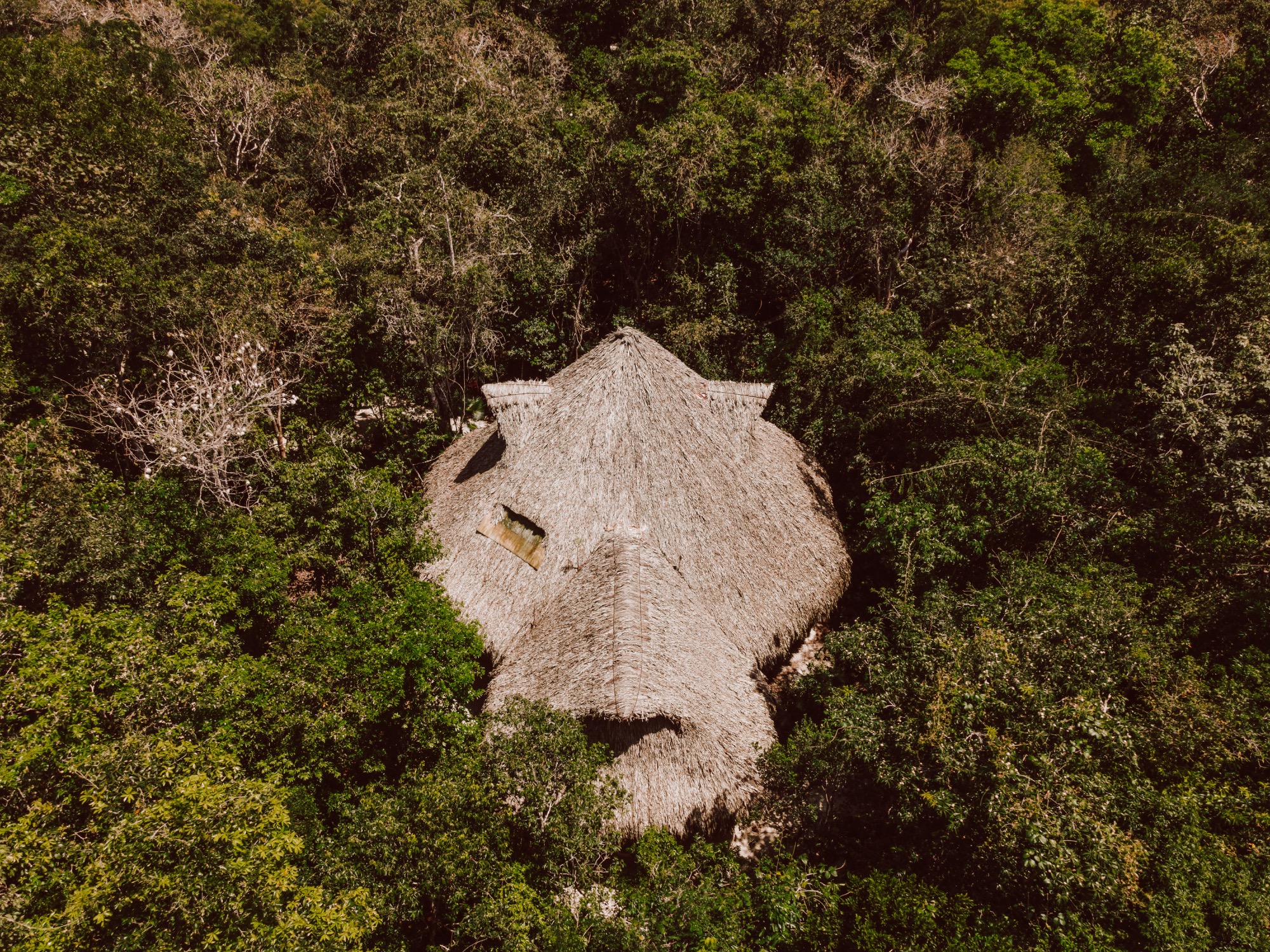 The sacred octagonal temple of Casa Arkaana, seen from above in the Mayan jungle